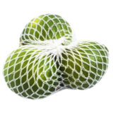 Papaya Single